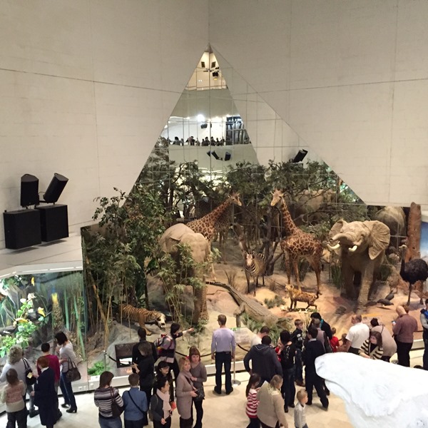 国立达尔文博物馆.jpg 国立达尔文博物馆.jpg